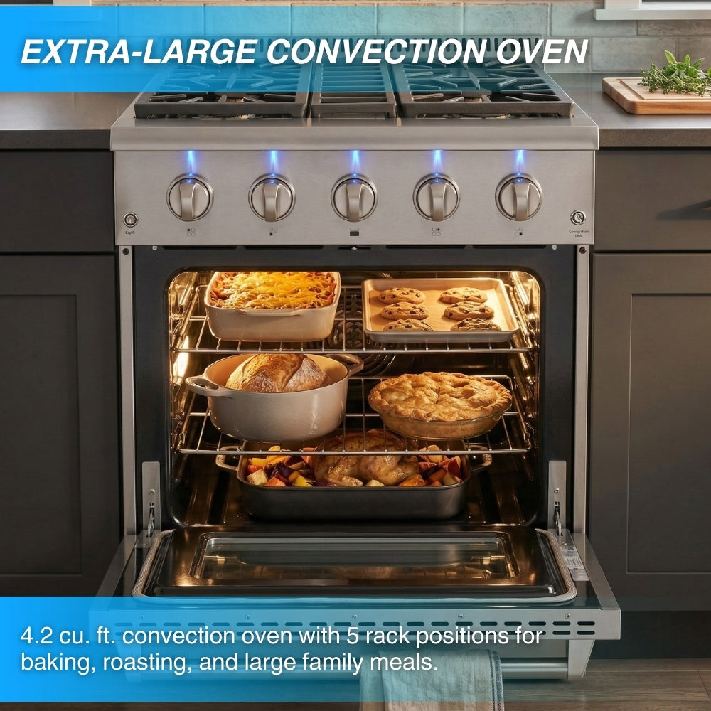 Crown Professional 30 Inch Stainless Steel Dual Fuel Gas Range ARD3001 (Local Pick-up) -  Gas Range - Crown Professional