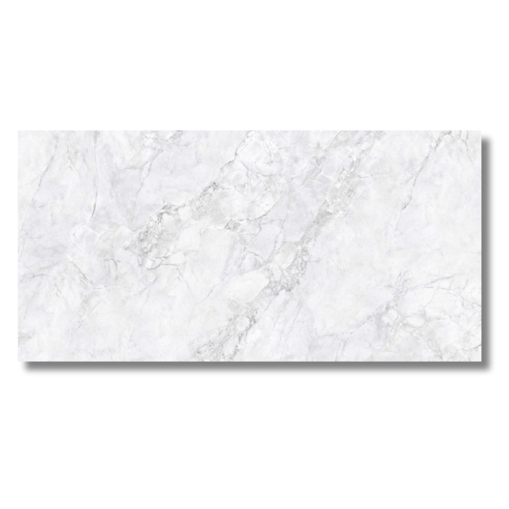 Calacatta Silver (Silky Finish)