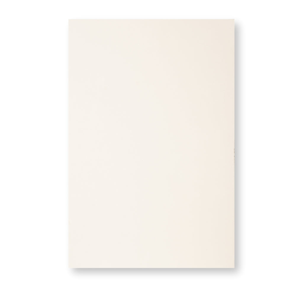 High Gloss White Door