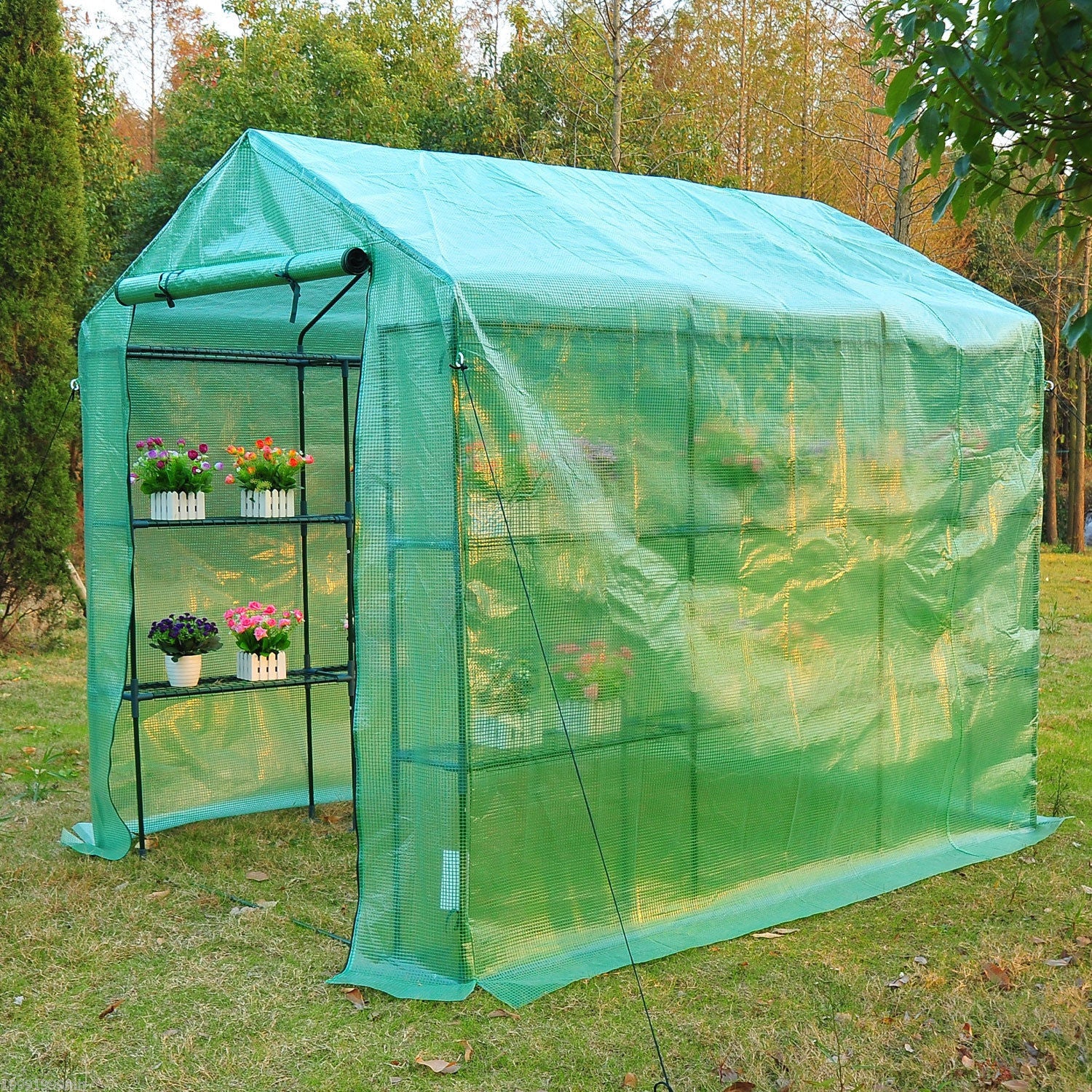 Walk-in Portable Pop up Flower Plant Greenhouse with Shelves 8'x6'x7' - RenoShop